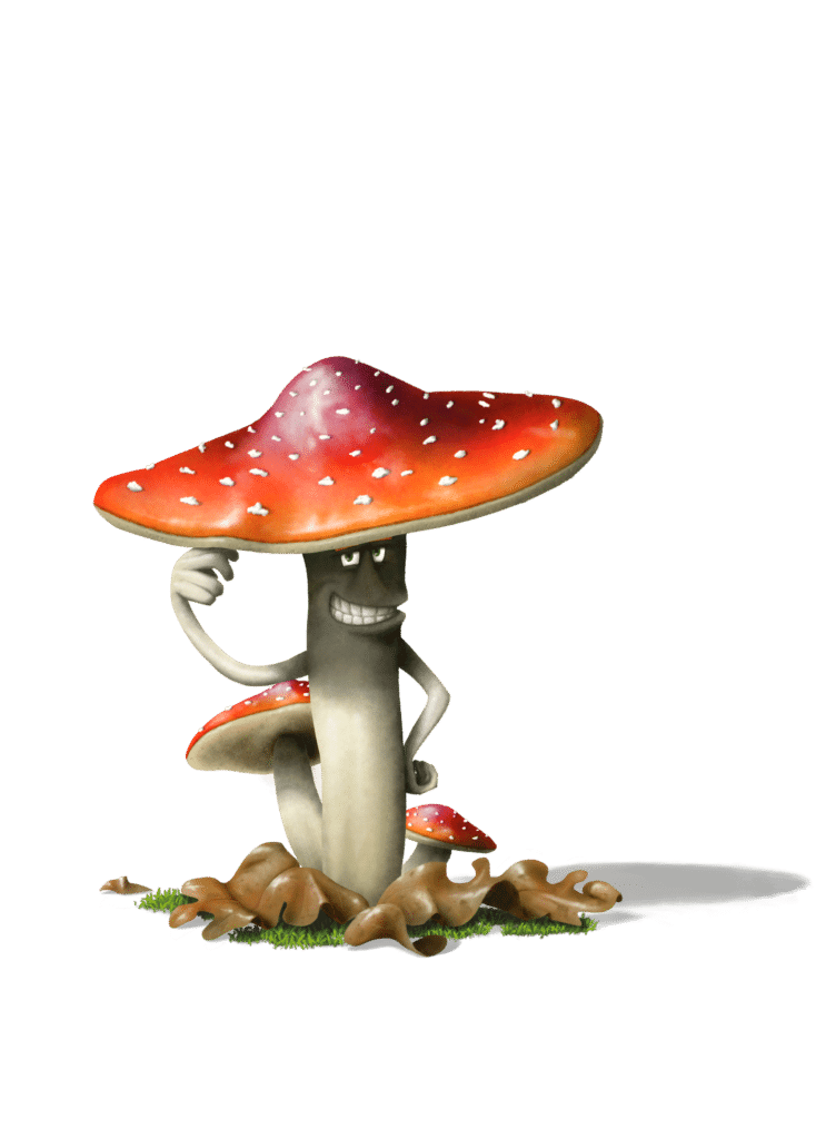 Le champignon jocker