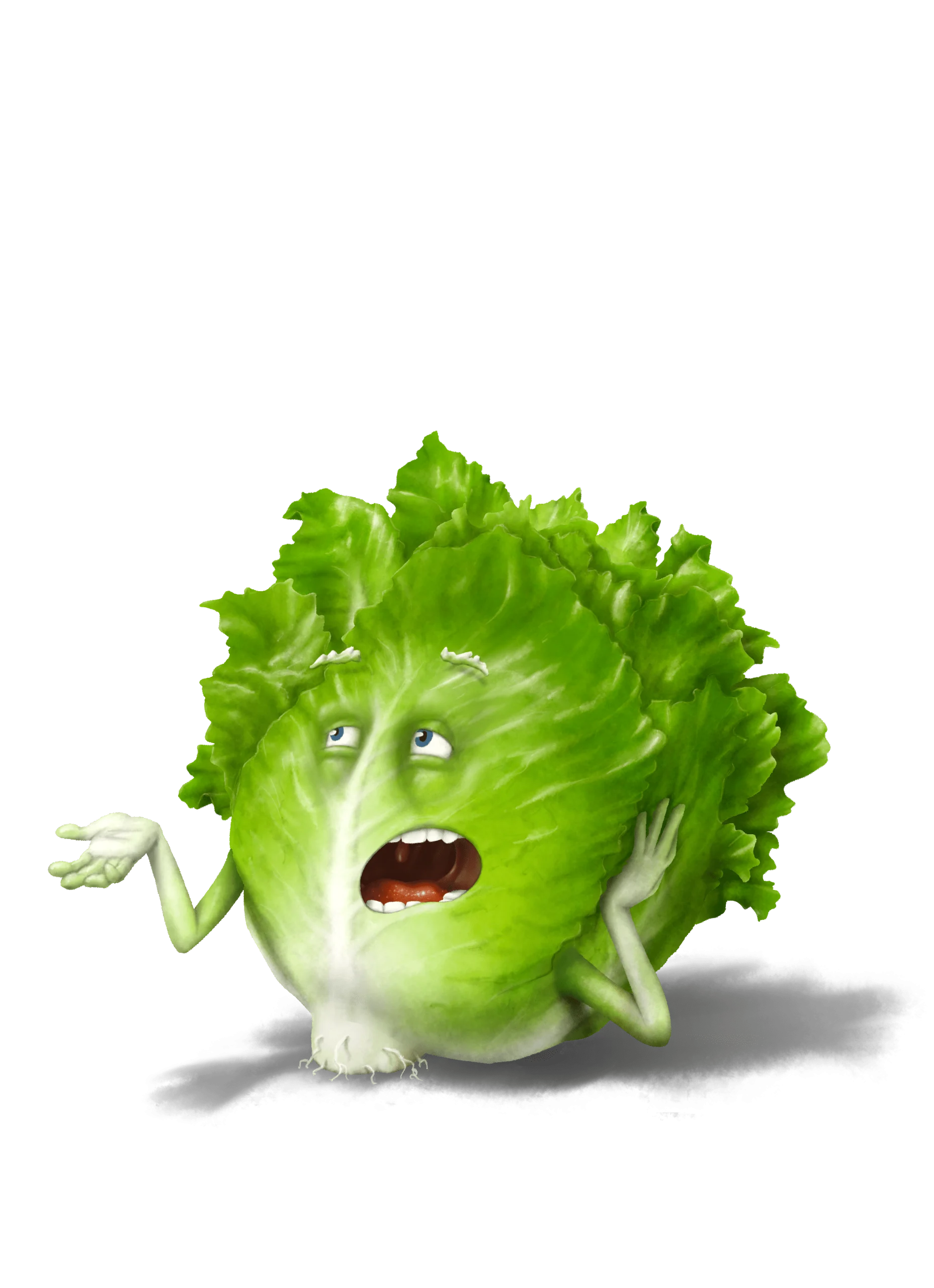 La salade, illustration Les Gumlos
