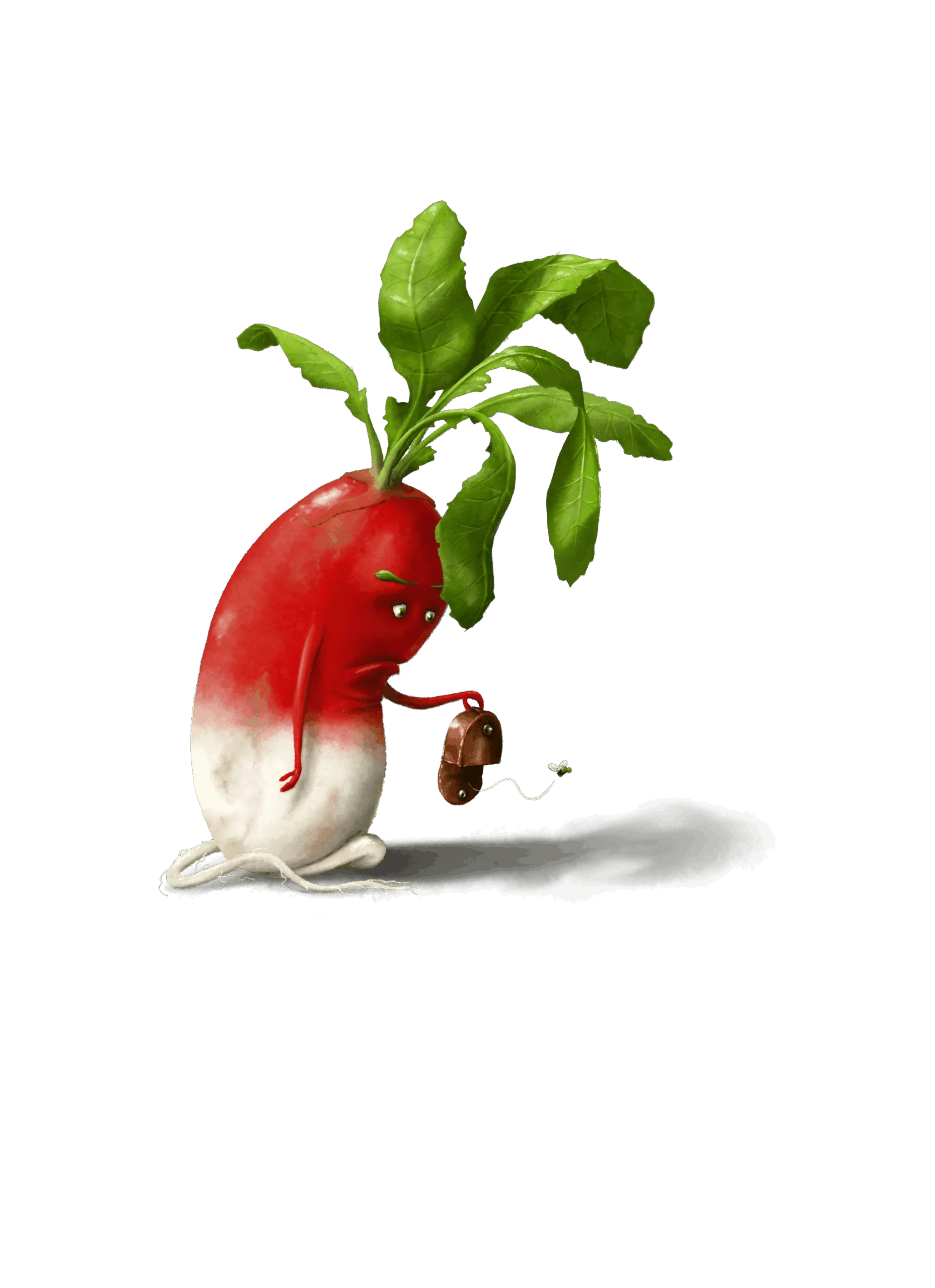 Ne pas avoir un radis : le légume qui ne valait rien